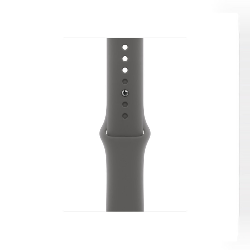 Apple Watch Series 11 GPS + Cellular 42mm Natural Titanium Case with Stone Gray Sport Band - M/L