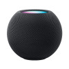 HomePod mini - Space Gray