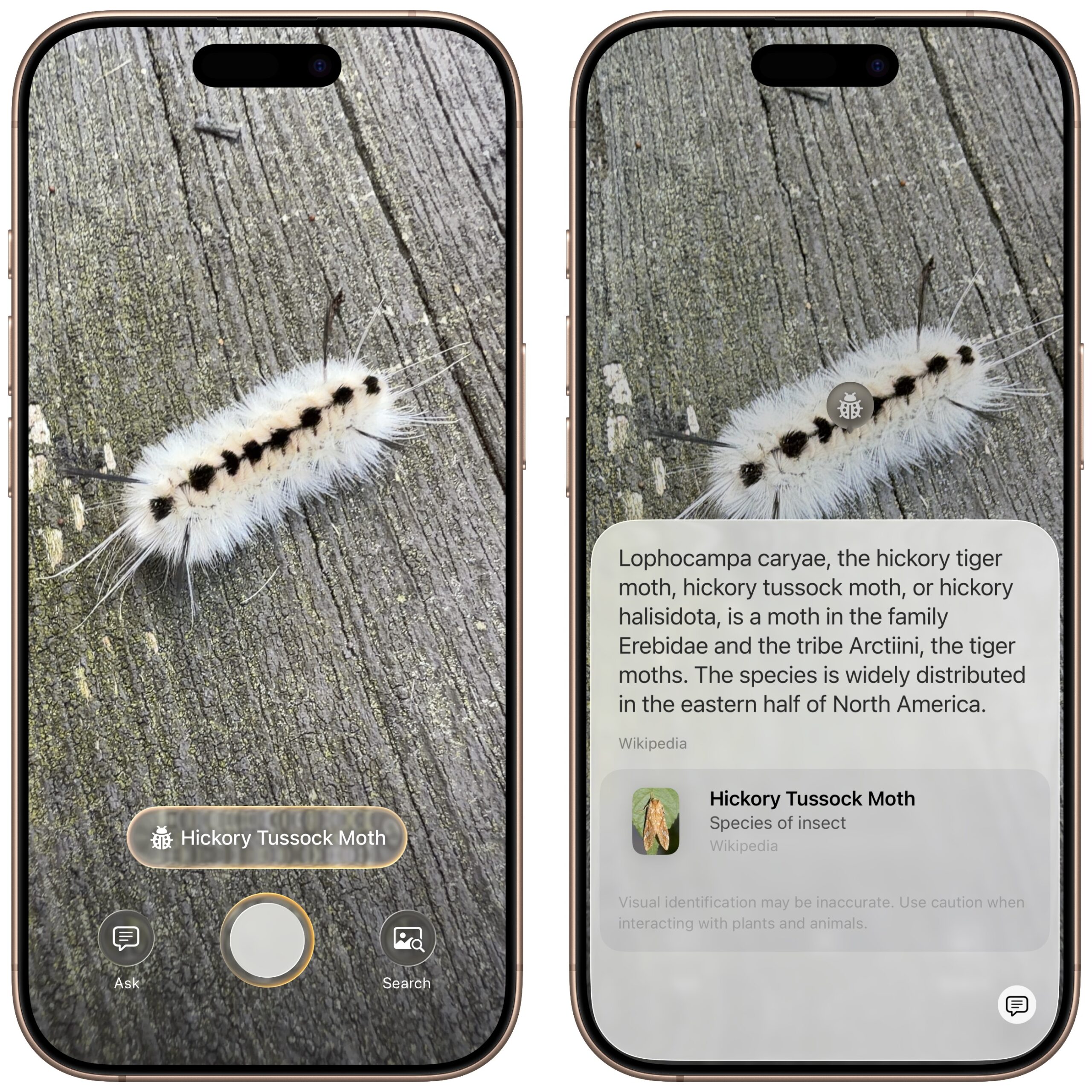 Visual Intelligence identification scaled