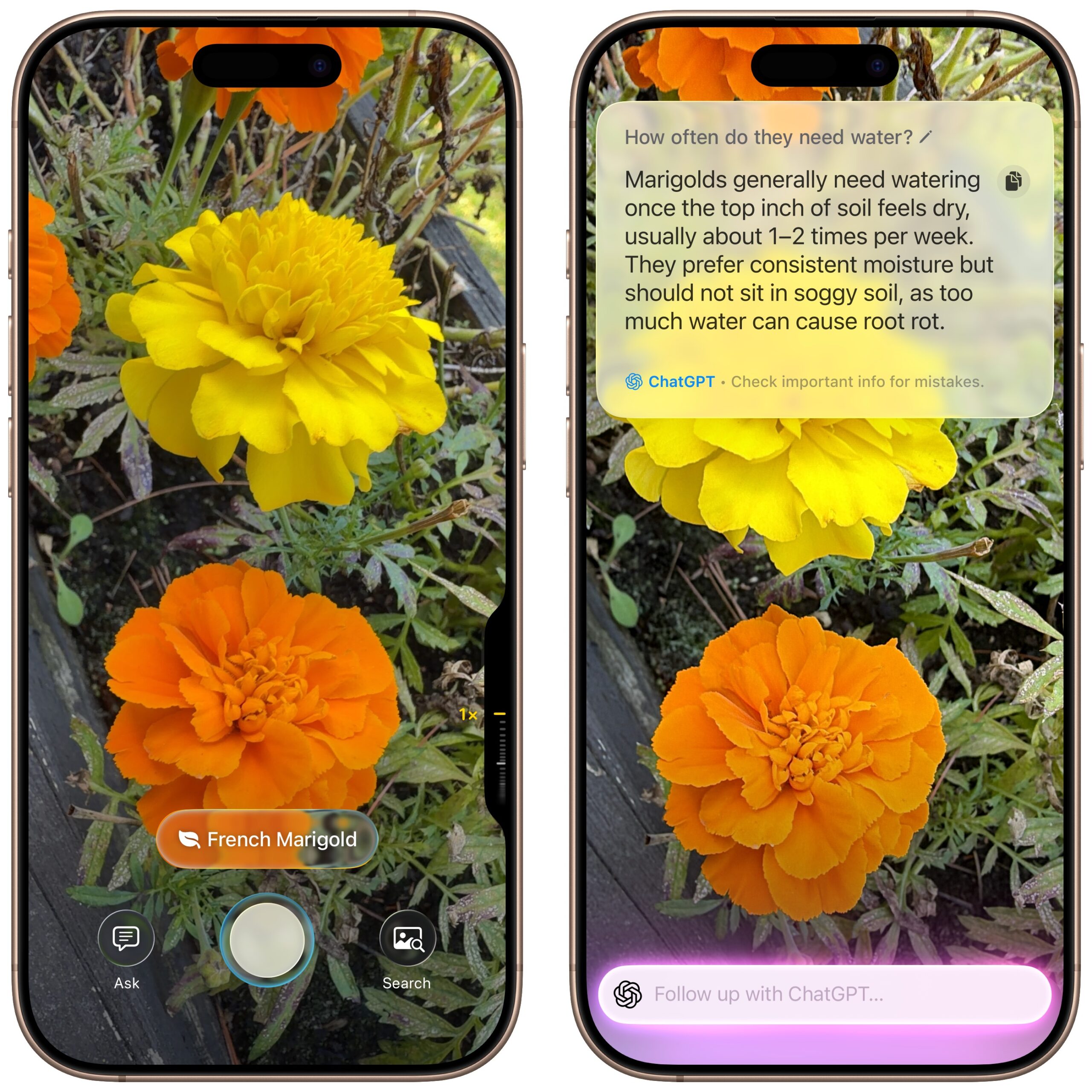 Visual Intelligence research scaled