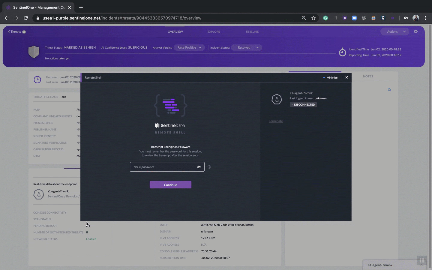 SentinelOne Interface