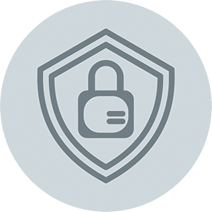 Hardware Security logo